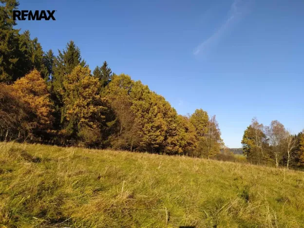 Prodej louky, Kynšperk nad Ohří, 20332 m2