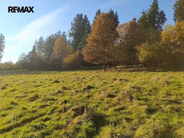 Prodej louky, Kynšperk nad Ohří, 20332 m2