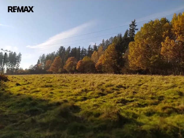 Prodej louky, Kynšperk nad Ohří, 20332 m2