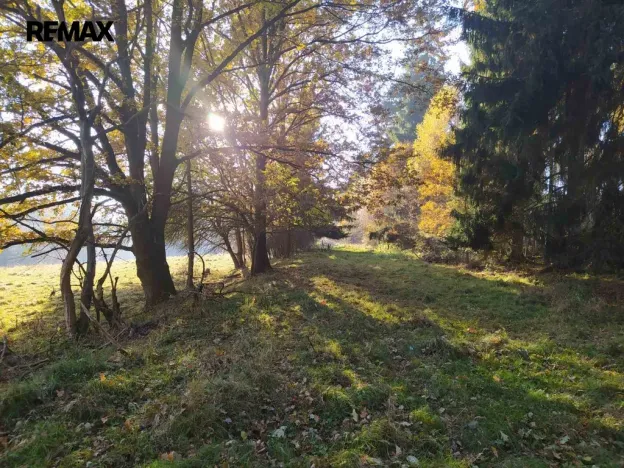Prodej louky, Kynšperk nad Ohří, 20332 m2