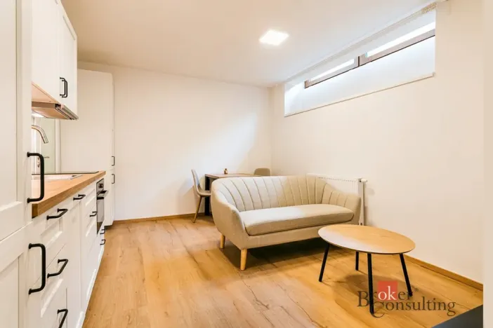 Pronájem bytu 2+kk, Brno - Horní Heršpice, Sokolova, 36 m2