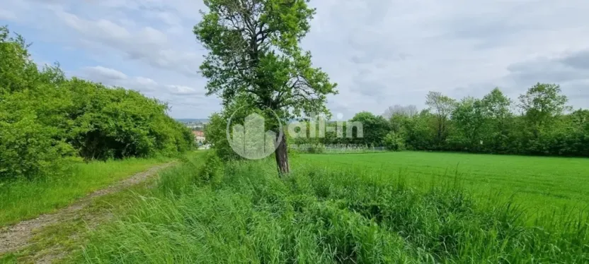 Prodej pozemku pro bydlení, Vyškov, Slunečná, 441 m2