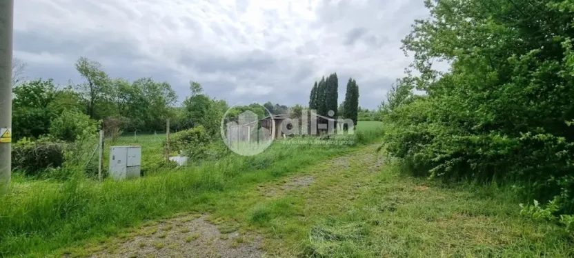 Prodej pozemku pro bydlení, Vyškov, Slunečná, 441 m2