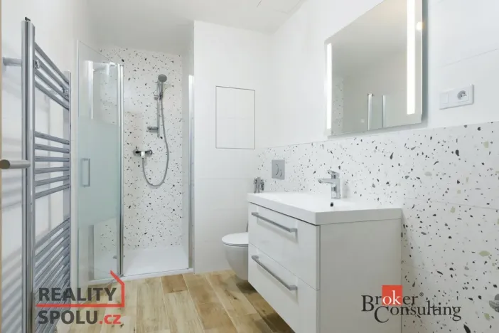 Prodej bytu 2+kk, Plzeň - Jižní Předměstí, Železná, 55 m2