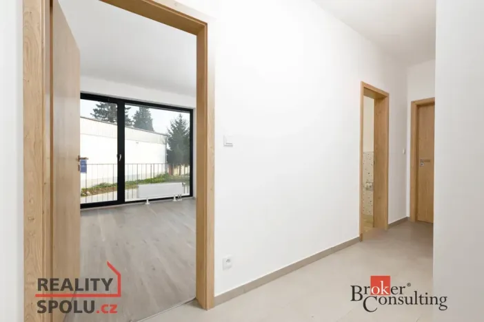 Prodej bytu 2+kk, Plzeň - Jižní Předměstí, Železná, 55 m2