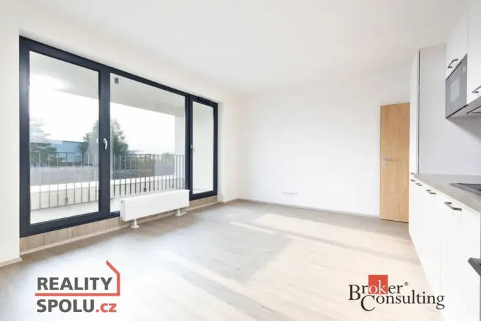 Prodej bytu 2+kk, Plzeň - Jižní Předměstí, Železná, 55 m2