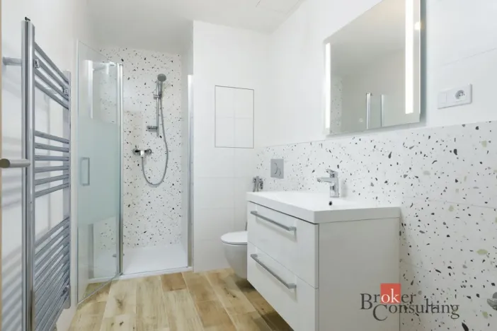 Prodej bytu 2+kk, Plzeň - Jižní Předměstí, Železná, 55 m2