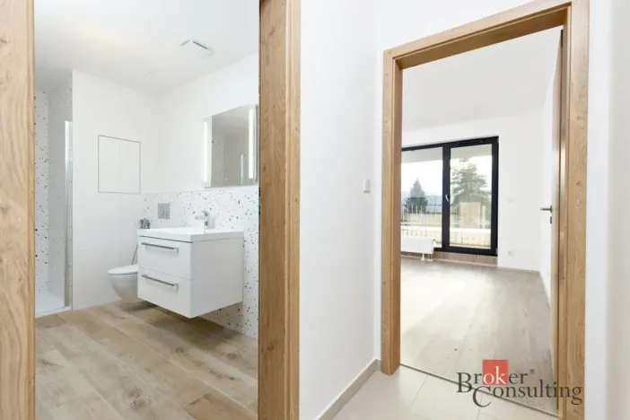 Prodej bytu 2+kk, Plzeň - Jižní Předměstí, Železná, 55 m2