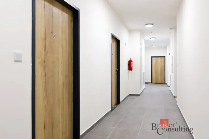 Prodej bytu 2+kk, Plzeň - Jižní Předměstí, Železná, 55 m2