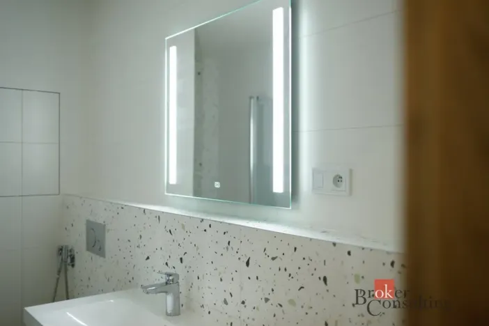 Prodej bytu 2+kk, Plzeň - Jižní Předměstí, Železná, 55 m2