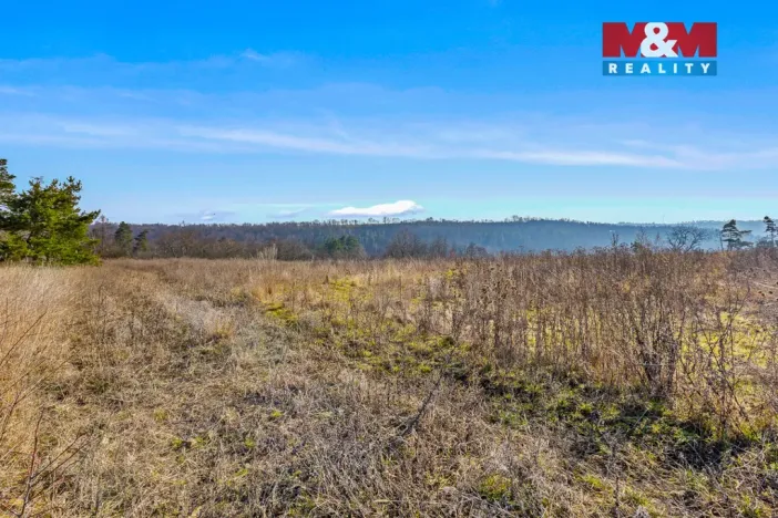 Prodej pozemku pro bydlení, Louny - Brloh, 1068 m2