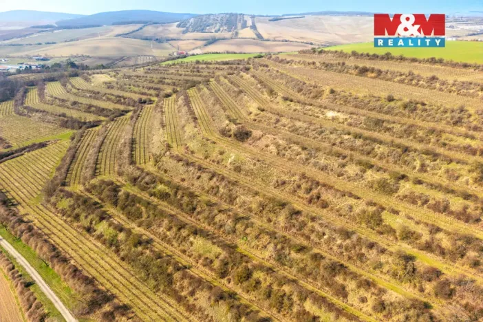 Prodej pole, Morkůvky, 2424 m2