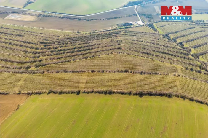 Prodej pole, Morkůvky, 2424 m2