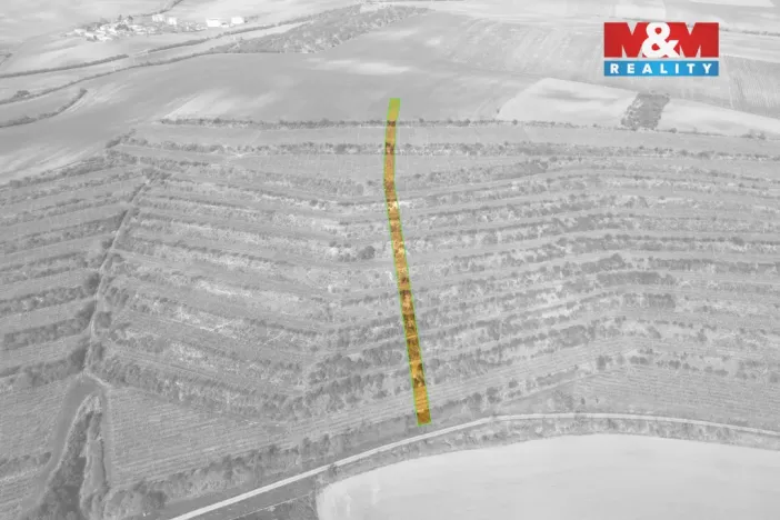 Prodej pole, Morkůvky, 2424 m2