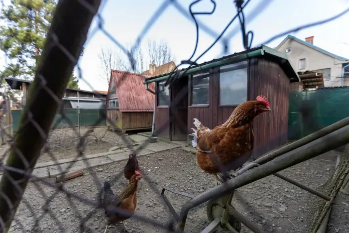 Prodej rodinného domu, Frenštát pod Radhoštěm, 153 m2