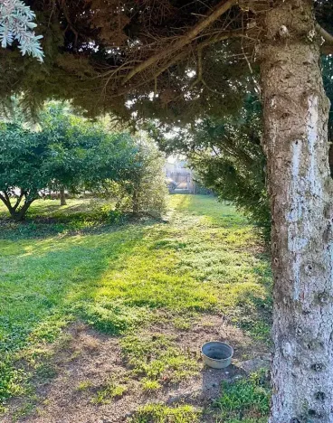 Prodej rodinného domu, Líbeznice, Karla Hynka Máchy, 105 m2