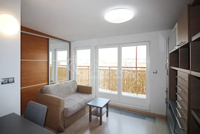 Pronájem bytu 1+kk, Praha, 31 m2