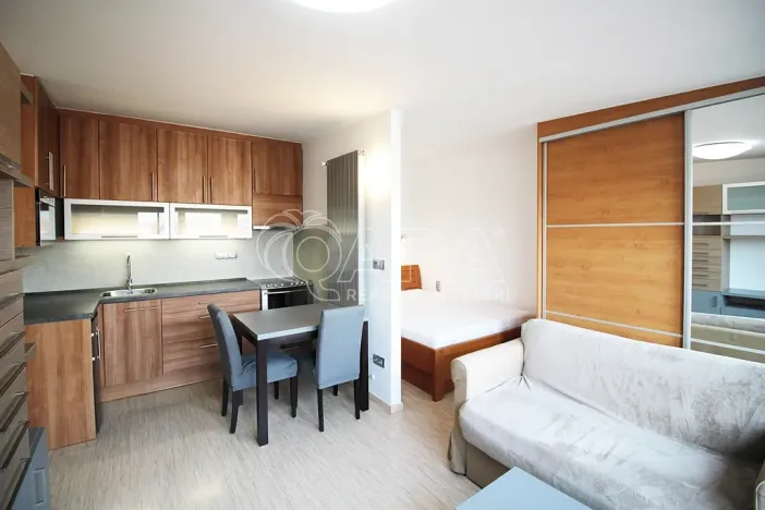 Pronájem bytu 1+kk, Praha - Holešovice, U průhonu, 31 m2