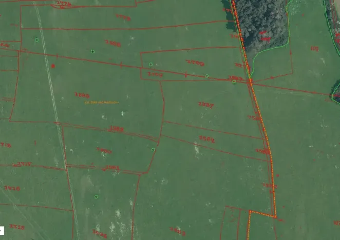 Prodej pole, Bělá nad Radbuzou, 174301 m2