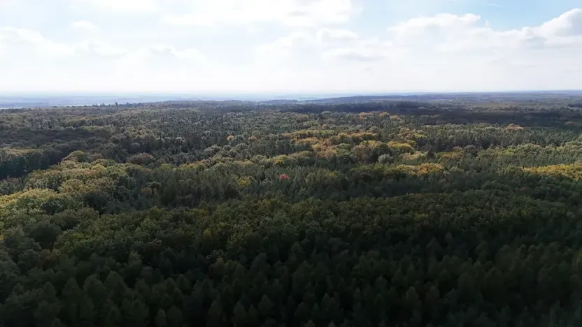 Prodej výrobních prostor, Seletice, 19535 m2