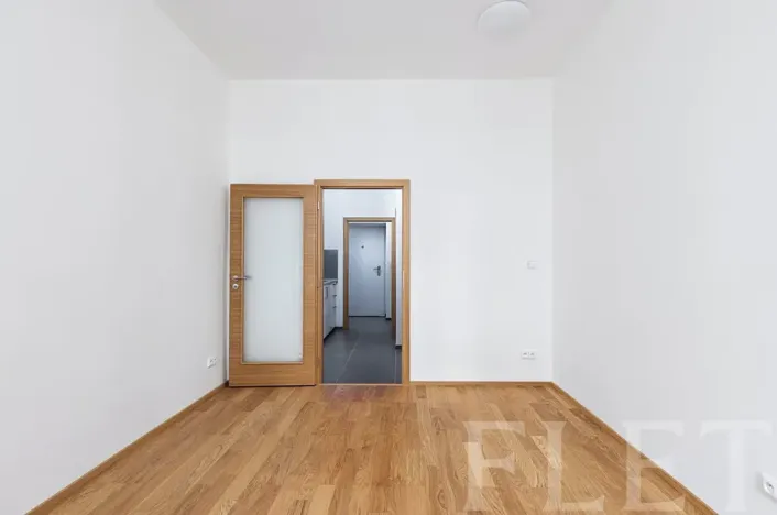 Pronájem bytu 1+kk, Praha - Žižkov, Seifertova, 29 m2