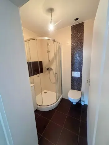 Pronájem rodinného domu, Prostějov, Lomená, 300 m2