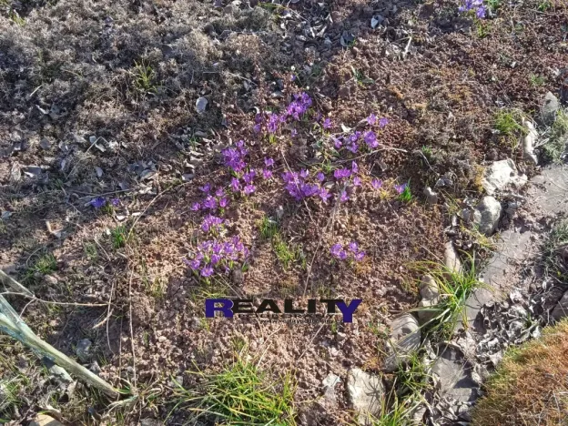 Pronájem zahrady, Kryry, 367 m2