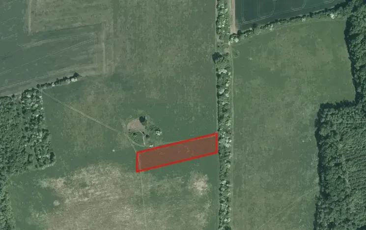 Prodej pole, Roštín, 7348 m2