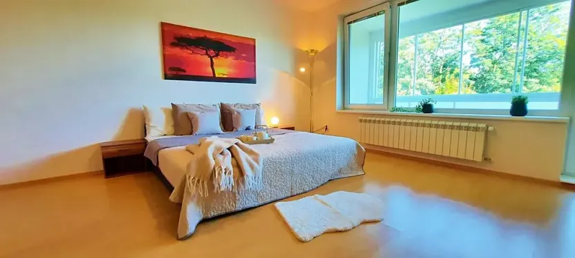 Pronájem bytu 1+kk, Brno, Šemberova, 51 m2