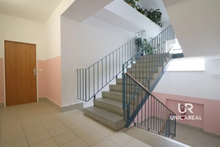 Prodej bytu 3+kk, Brno - Veveří, Bayerova, 72 m2