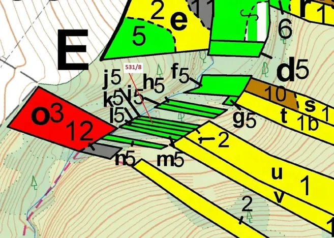 Dražba lesa, Havlíčkův Brod, 212 m2