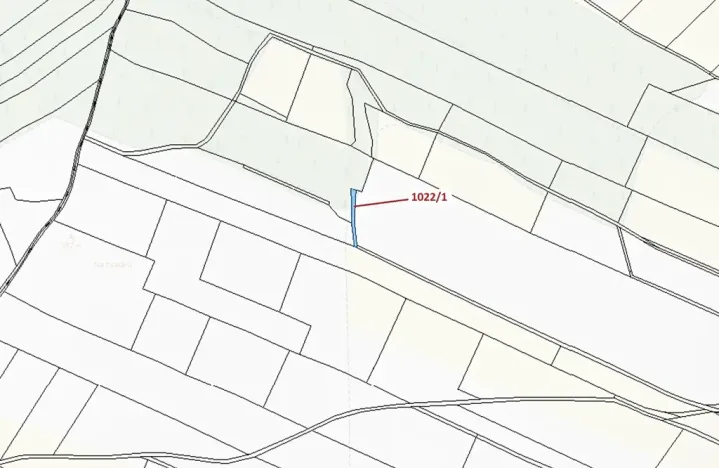 Dražba pole, Olešnice, 318 m2