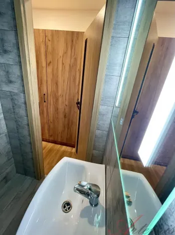 Pronájem bytu 1+1, Ostrava - Hrabůvka, Dr. Martínka, 37 m2