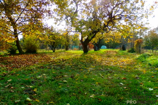 Prodej zahrady, Znojmo, 1330 m2