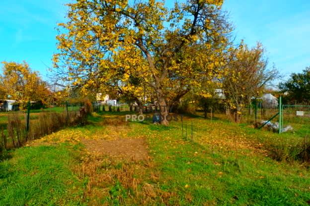 Prodej zahrady, Znojmo, 1330 m2