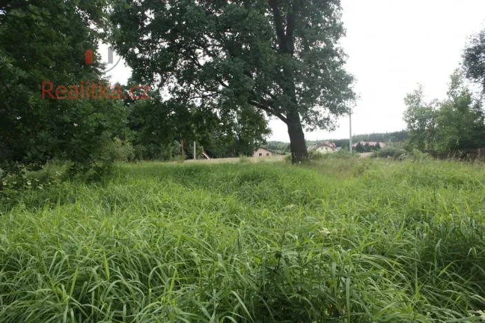 Pronájem pozemku, Planá nad Lužnicí, Soukenická, 650 m2