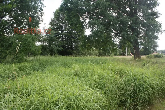 Pronájem pozemku, Planá nad Lužnicí, Soukenická, 650 m2