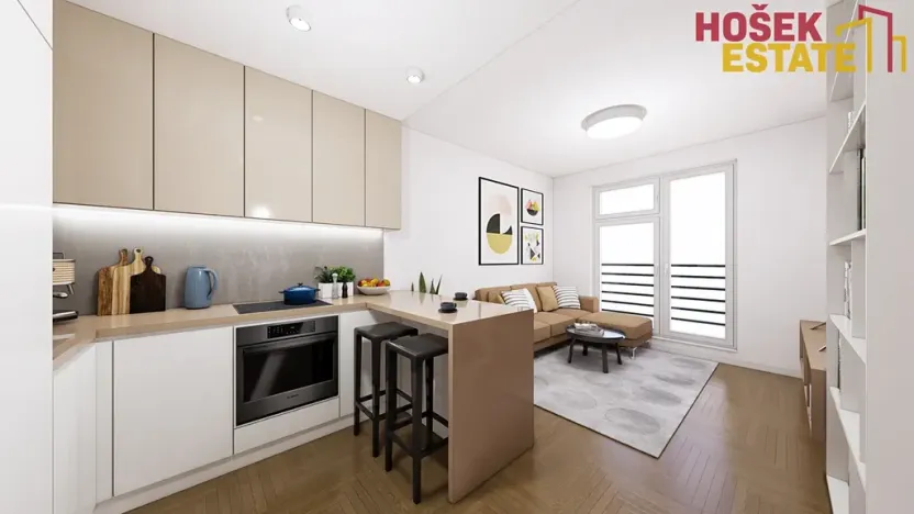 Dražba bytu 1+kk, Brno, Netušilova, 38 m2