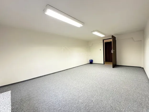 Pronájem kanceláře, Praha - Karlín, Thámova, 19 m2