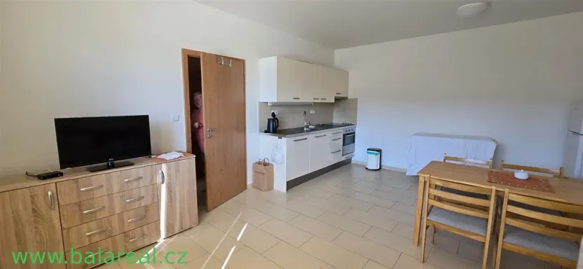 Prodej bytu 1+kk, Brod nad Dyjí, 34 m2