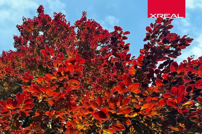 Prodej rodinného domu, Kamenice, Lomená, 157 m2