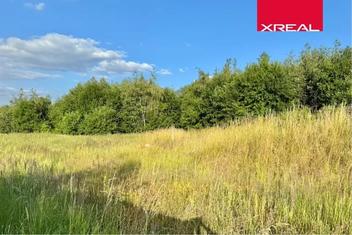 Prodej komerčního pozemku, Strančice, 7647 m2