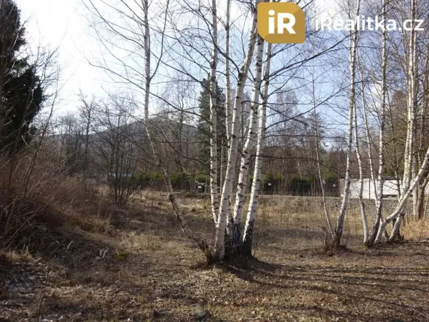 Prodej komerčního pozemku, Vrbno pod Pradědem, Jesenická, 1030 m2