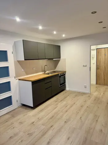 Prodej bytu 2+kk, Praha - Krč, Hurbanova, 41 m2