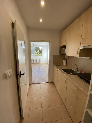 Pronájem bytu 1+kk, Brno - Královo Pole, Herčíkova, 29 m2
