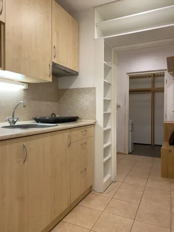 Pronájem bytu 1+kk, Brno - Královo Pole, Herčíkova, 29 m2