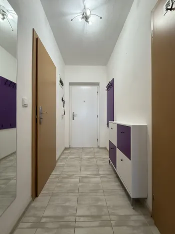 Pronájem bytu 1+kk, Brno - Lesná, Tomečkova, 41 m2