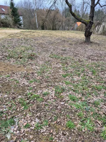 Prodej pozemku pro bydlení, Vlastějovice - Pavlovice, 1021 m2