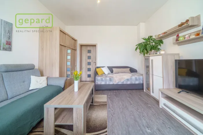 Prodej bytu 1+1, Karlovy Vary, Jabloňová, 38 m2