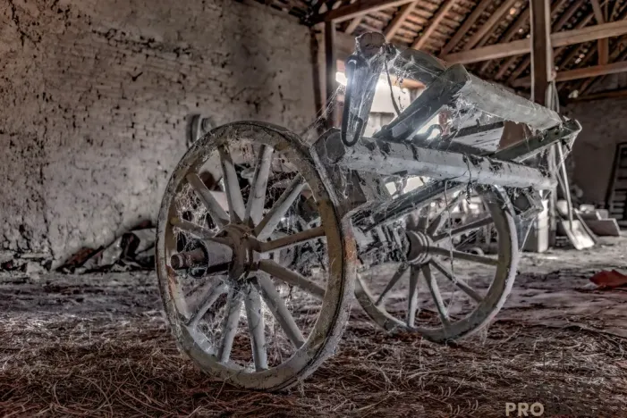 Prodej chalupy, Horní Dunajovice, 350 m2